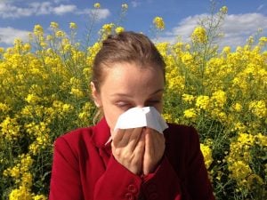 Allergy-pollen-art-300x225.jpg